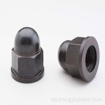 Edelstahl 304 Hex Head Dome Cap Nut